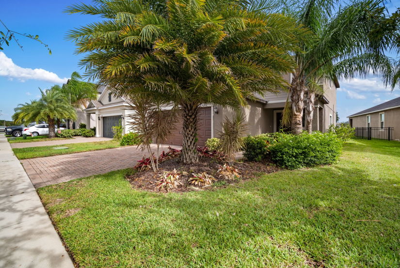 obstructed view of property featuring a front yard